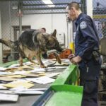 Customs and Border Protection K9 finds drugs