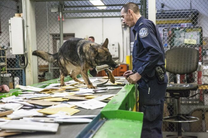Customs and Border Protection K9 finds drugs