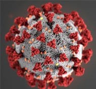 Category Template – Coronavirus2 Homeland Security Today