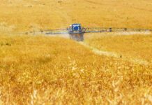 Analysis Frames Agriculture as Emerging Frontline in Hybrid Warfare