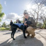 Border Patrol Launches Support Canine Program to Help Workforce Wellness