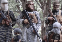 MEMRI Report Highlights ISIS Claim of 587 Affiliate Attacks in First Half of 2026