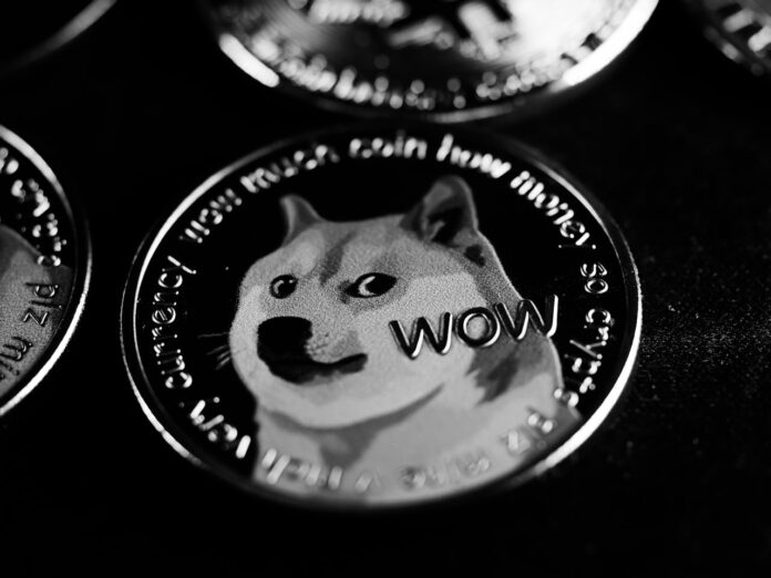 Grayscale Photo of Dogecoin, meme