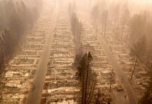 Cascading Effects: The Relationship Between Natural Disasters, Armed Conflict, Forced Migration, and Human Trafficking